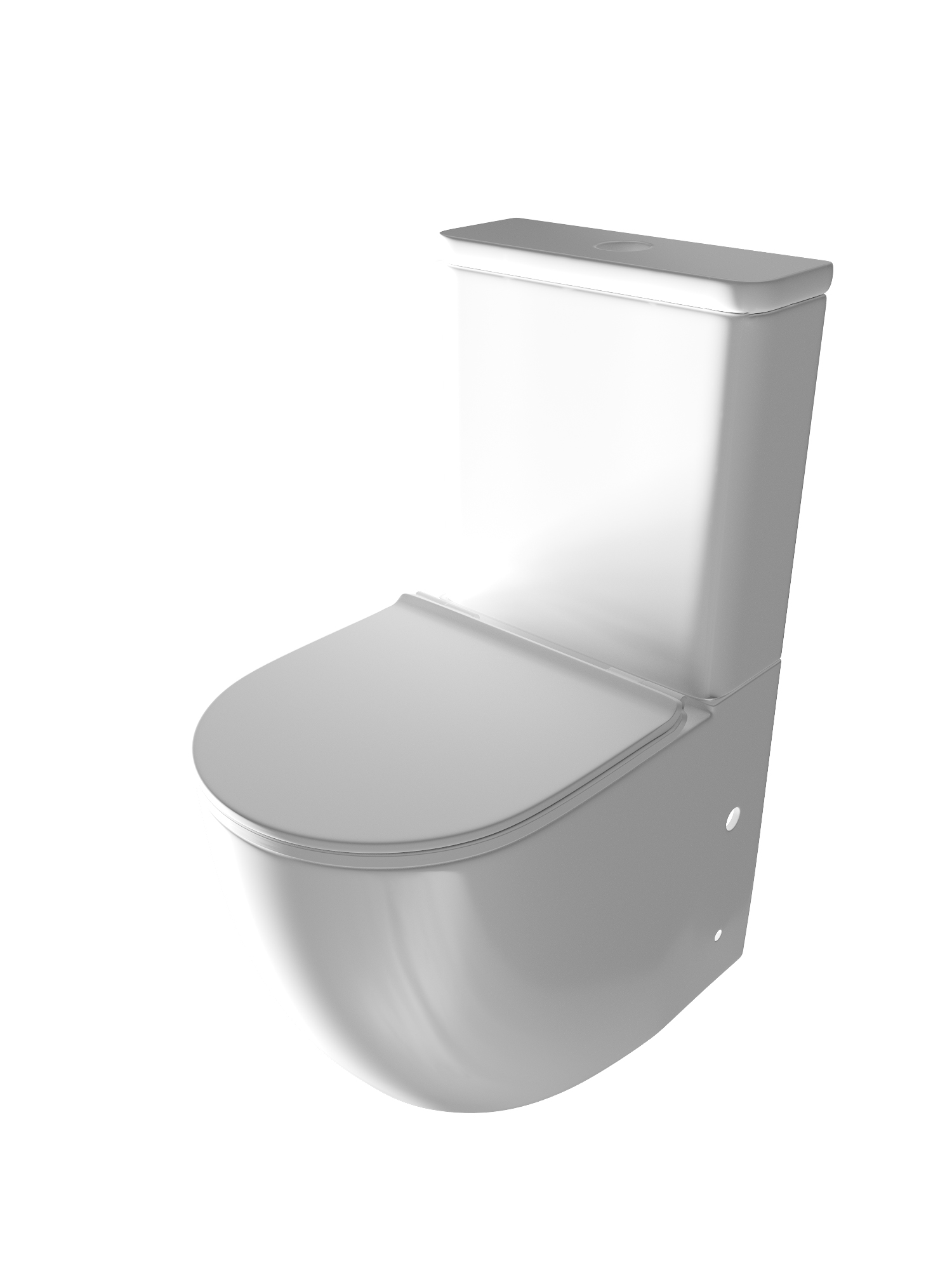 Напольный унитаз WC655WG